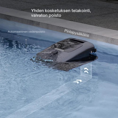 Nexorv